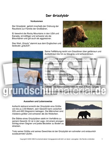 Grizzly-Steckbrief-Seite-1.pdf
